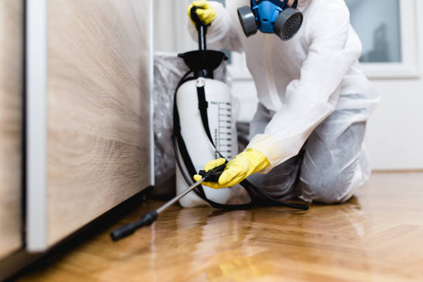 Best Wildlife Control Services  in Billington Heights, NY