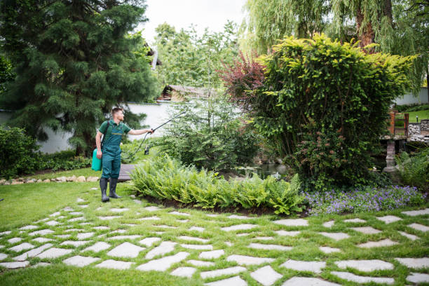  Billington Heights, NY Pest Control Pros