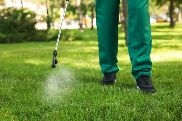 Wildlife Control Services in Billington Heights, NY