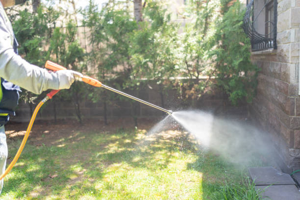 Best Best Pest Control Companies  in Billington Heights, NY